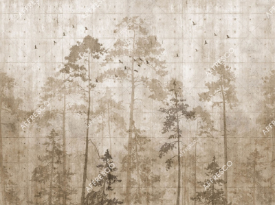 rapport