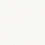 rapport