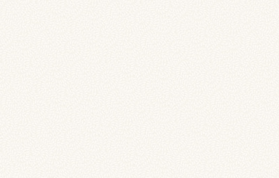 rapport