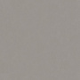 rapport